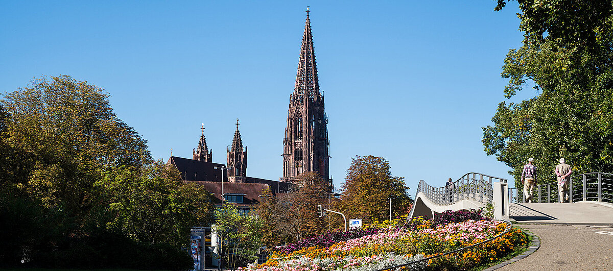 Stadtgarten mit Blick auf das Münster in Freiburg